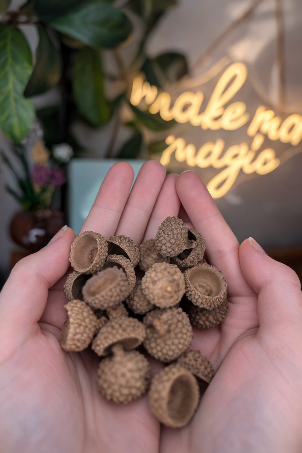 Creating a Cozy Nature-Inspired Space at Home