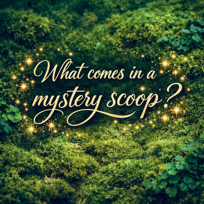 Mystery Scoop (x1) Bundle