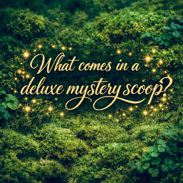 Deluxe Mystery Scoop (x3) Bundle