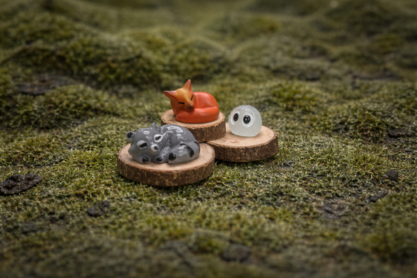 ADD-ON Companion & Companion Accessory Side Bundle ($10)