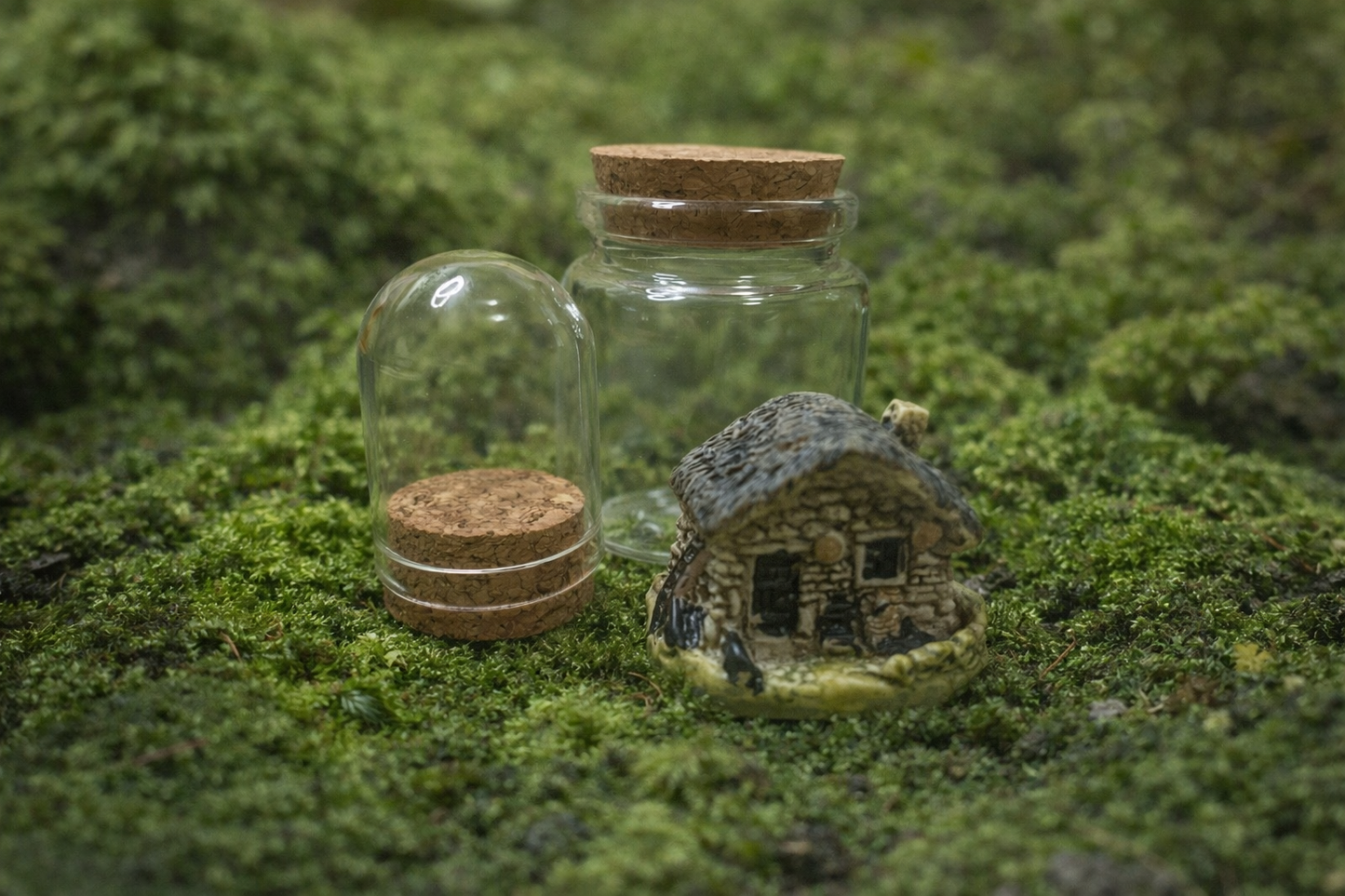 ADD-ON Deluxe Companion & Deluxe Accessory Side Bundle ($15)