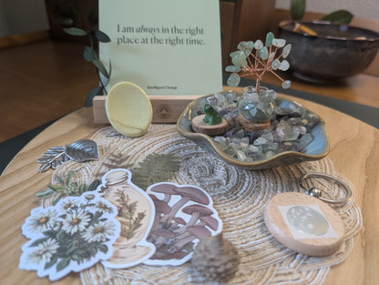 Premium Mystery Scoop (x2) Bundle