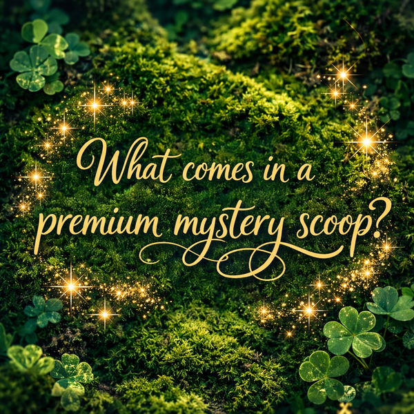 Premium Mystery Scoop (x2) Bundle