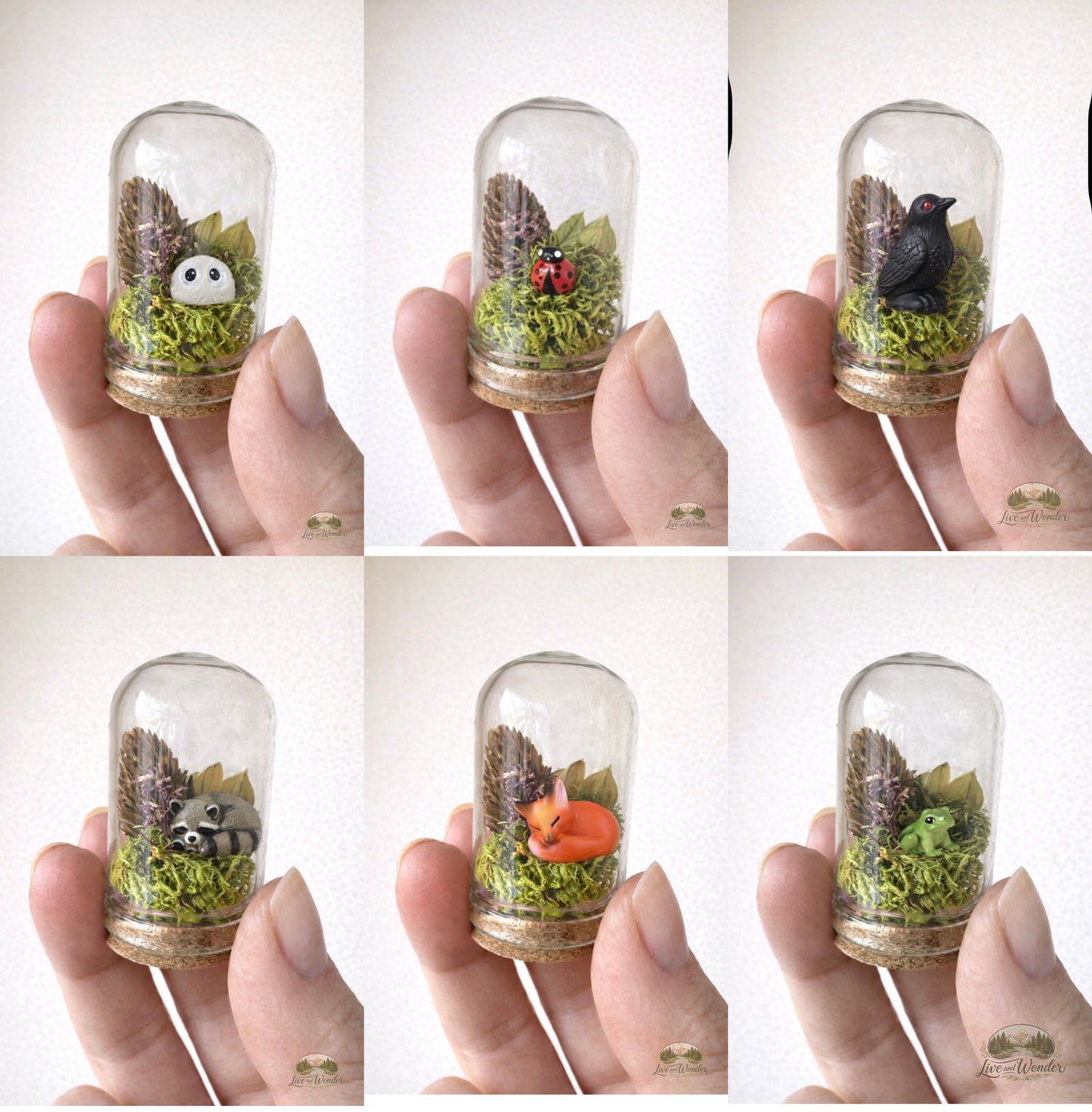 ADD-ON Companion Bunch Bundle ($20)