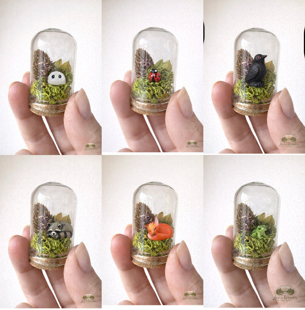 ADD-ON Companion Bunch Bundle ($20)