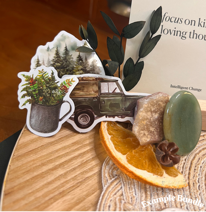 Rainbow Crystal Tree & Raccoon Companion Deluxe Bundle