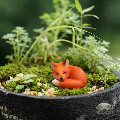 ADD-ON Companion Bunch Bundle ($20)