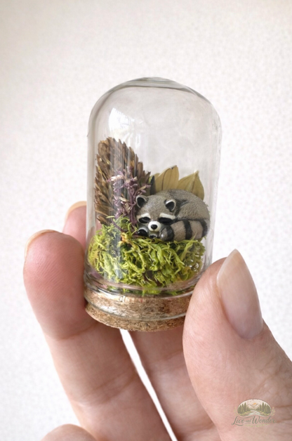 Rainbow Crystal Tree & Raccoon Companion Deluxe Bundle